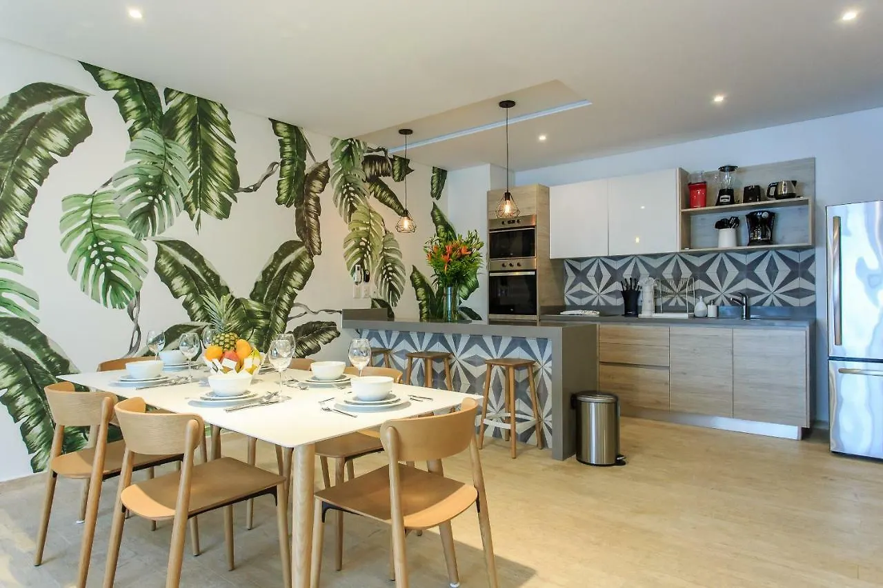 Beautifully Minimalistic Studio Wrapped In Nature By Stella Rentals 툴룸 아파트